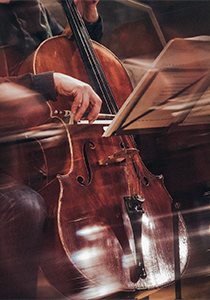ROSSINI / BOCCHERINI